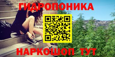 Альфа ПВП Пенза