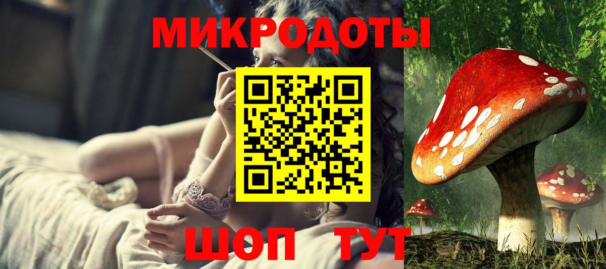 Псилоцибиновые грибы Psilocybe  Вход с VPN  Сертолово  Галлюциногенные грибы прущие грибы 
